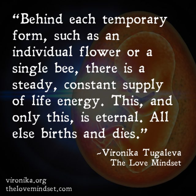 Behind each temporary form, such as an individual flower or a single bee, there is a steady, constant supply of life energy. This, and only this, is eternal. All else births and dies. Quote by Vironika Tugaleva from her book The Love Mindset.
